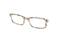 The Wildlife Illustrations