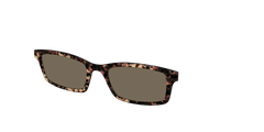 The Polarized Sienna Tortoise Sun Top