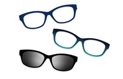 Blue Tortoise - Set