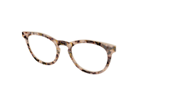 The Almond Tortoise with Gold Streaks