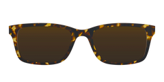 The Polarized Tortoise Sun Top