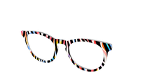 The Vivid Zebra Stripes