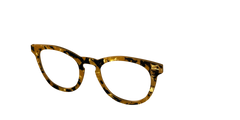 The Tiger's Eye Pearl Tortoise