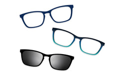 Blue Tortoise - Set