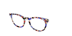 The Tempo Tortoise