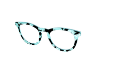 The Robin's Egg Pearl Tortoise
