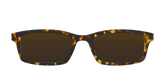 The Polarized Tortoise Sun Top