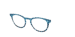 The Whale Shark Spots