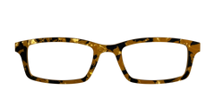 The Tiger's Eye Pearl Tortoise