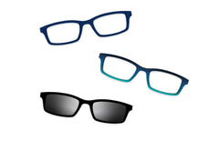 Blue Tortoise - Set