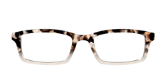 The Vanilla Latte Tortoise