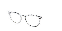 The Classic Cheetah