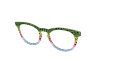 The Freshwater Trout Scales