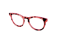 The Red Agate Pearl Tortoise