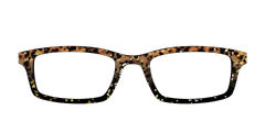 The Rustic Gold Leaf Tortoise