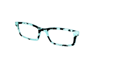 The Robin's Egg Pearl Tortoise