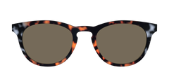 The Polarized Gray & Amber Tortoise Sun Top