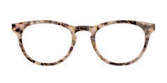 The Almond Tortoise with Gold Streaks