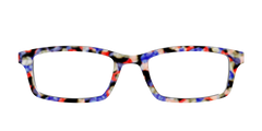 The Tempo Tortoise