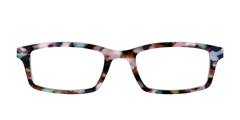 The Midsummer Tortoise