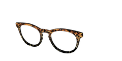 The Rustic Gold Leaf Tortoise