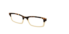 The Amber Tortoise Crystal Split
