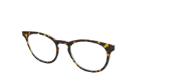 The Tortoise