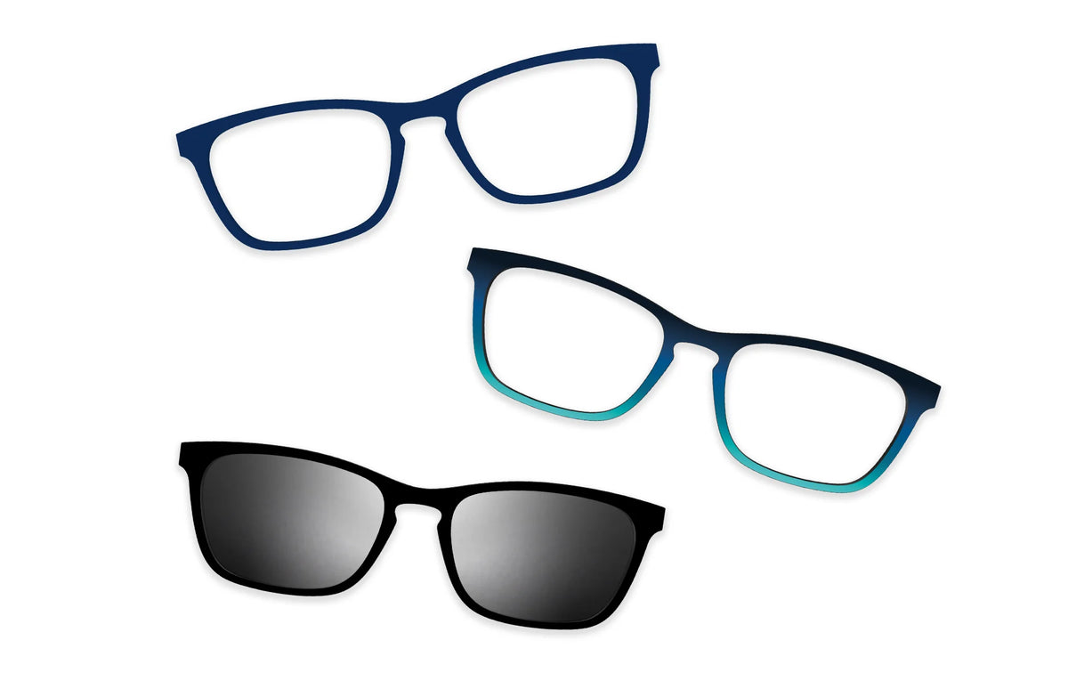 Blue Tortoise - Set