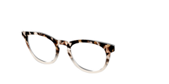 The Vanilla Latte Tortoise