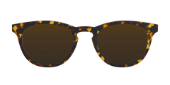 The Polarized Tortoise Sun Top