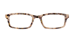The Almond Tortoise with Gold Streaks